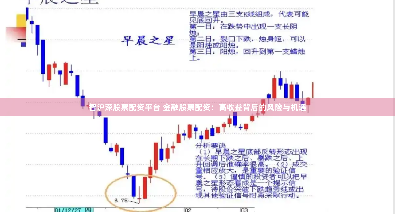智沪深股票配资平台 金融股票配资：高收益背后的风险与机遇
