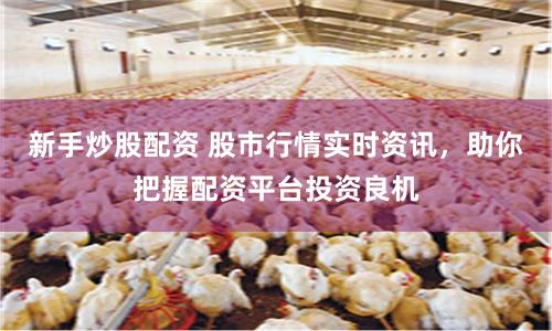 新手炒股配资 股市行情实时资讯，助你把握配资平台投资良机