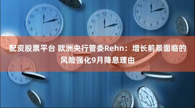 配资股票平台 欧洲央行管委Rehn：增长前景面临的风险强化9月降息理由